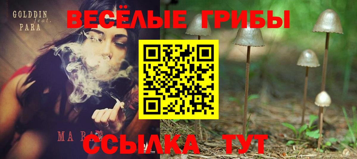 Галлюциногенные грибы Psilocybe  Псилоцибиновые грибы ЛСД  Вход с VPN  Нижний Новгород 